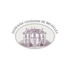 (image for) CHANDON DE BRIAILLES SAVIGNY L 1ER CRU 2006 (TC 91)
